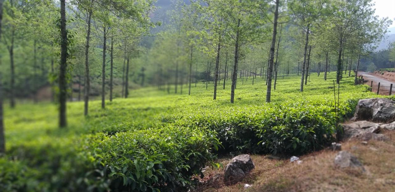 Spice Cottage Homestay Thekkady Exteriör bild