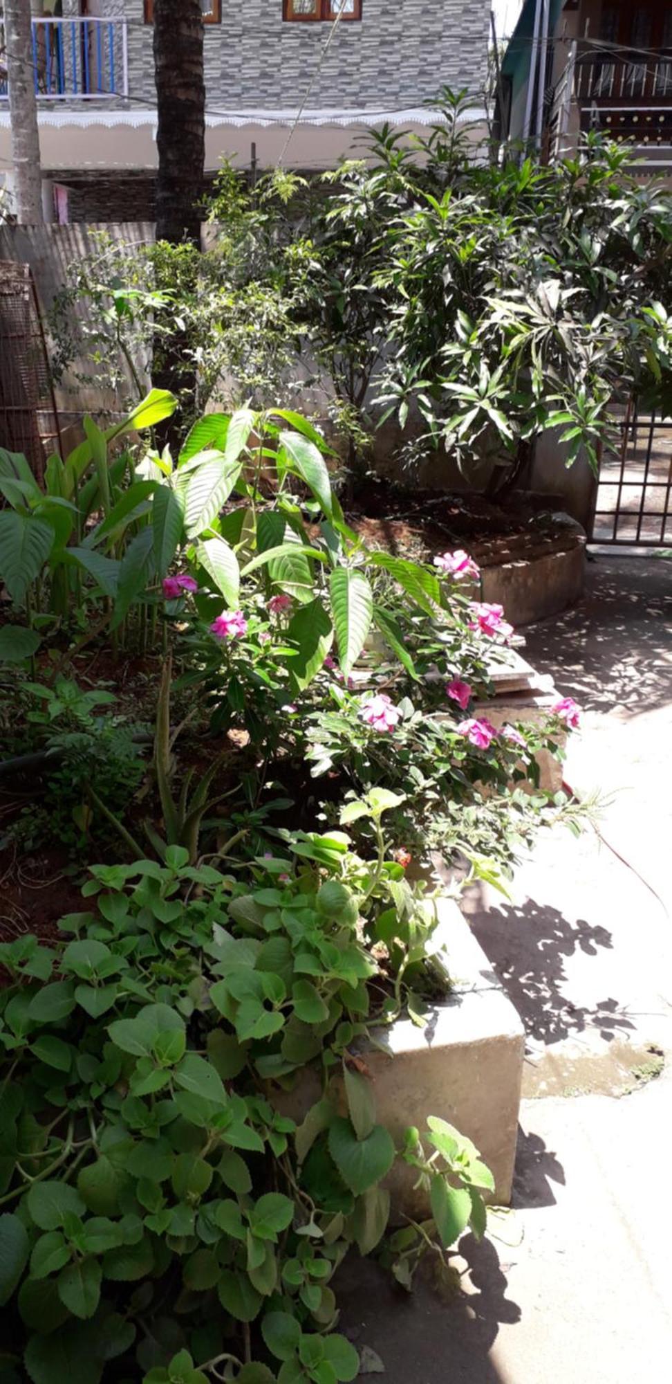Spice Cottage Homestay Thekkady Exteriör bild
