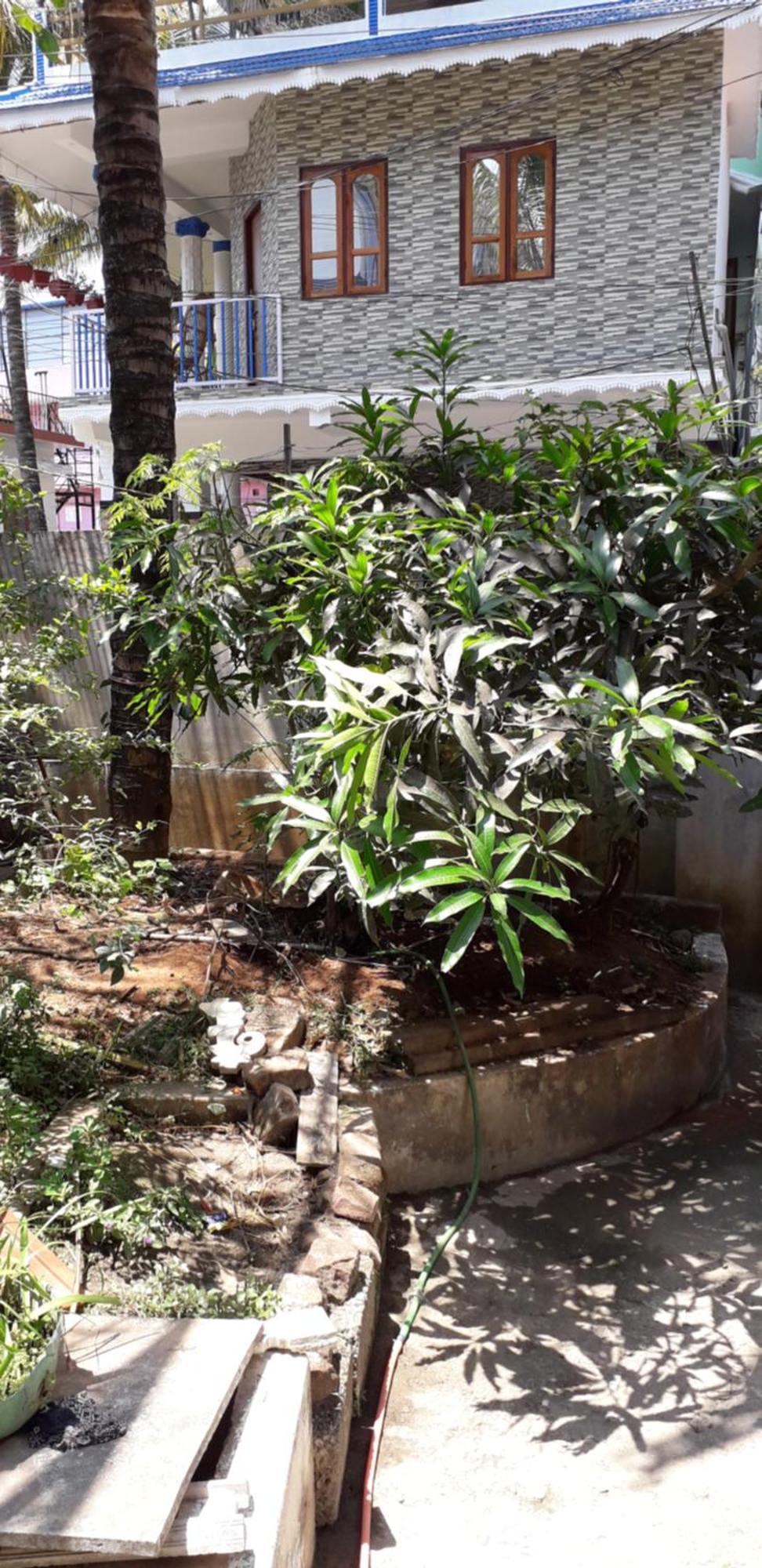 Spice Cottage Homestay Thekkady Exteriör bild